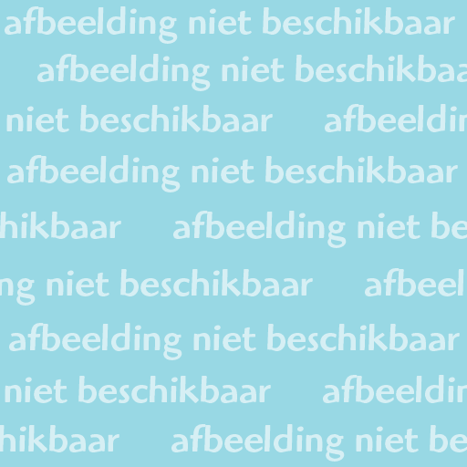 De Wiekslag 4