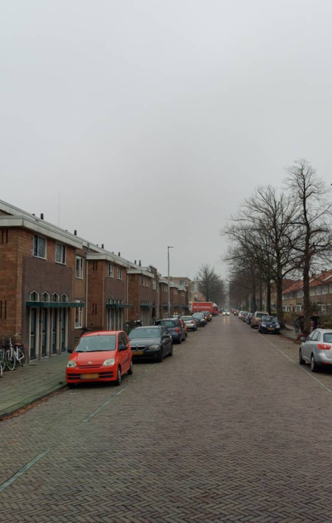 Leeuwerikstraat 67