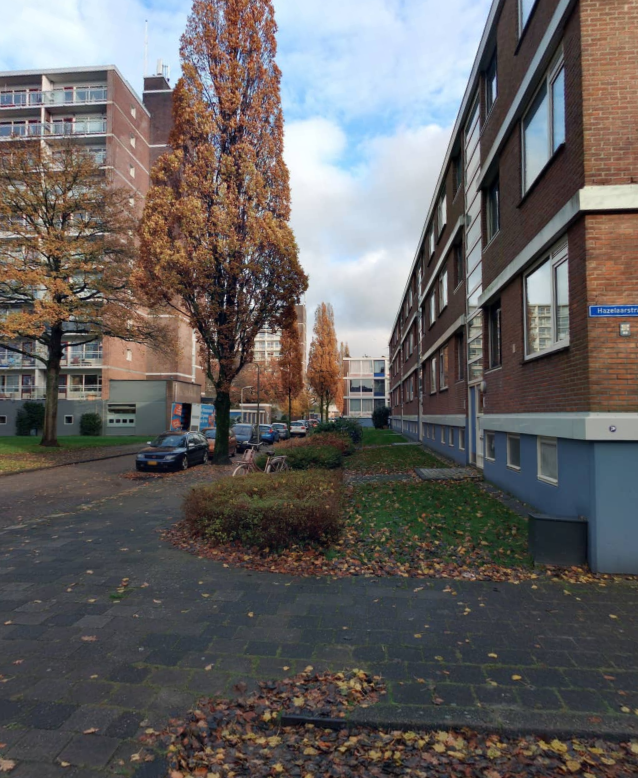 Eikenstraat 26B