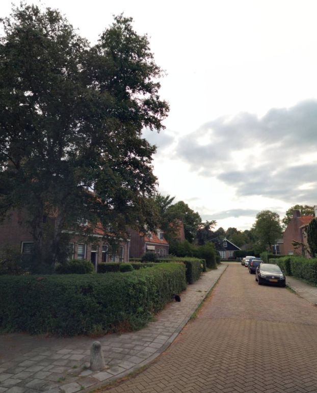 Pieter Coopmansstraat 66, 8701 BN Bolsward, Nederland