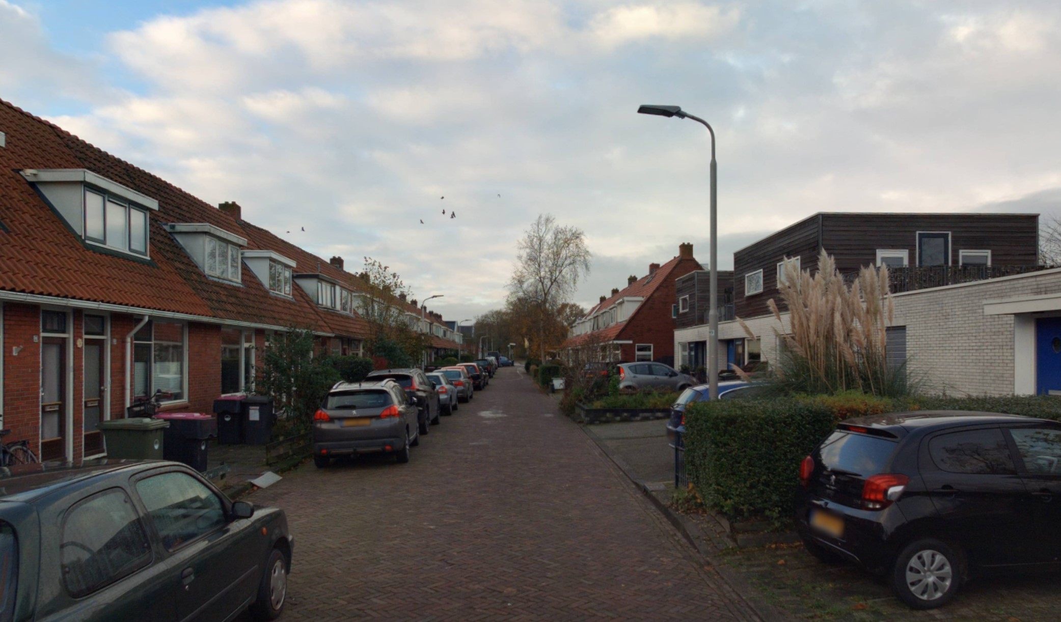 Van Loonstraat 55