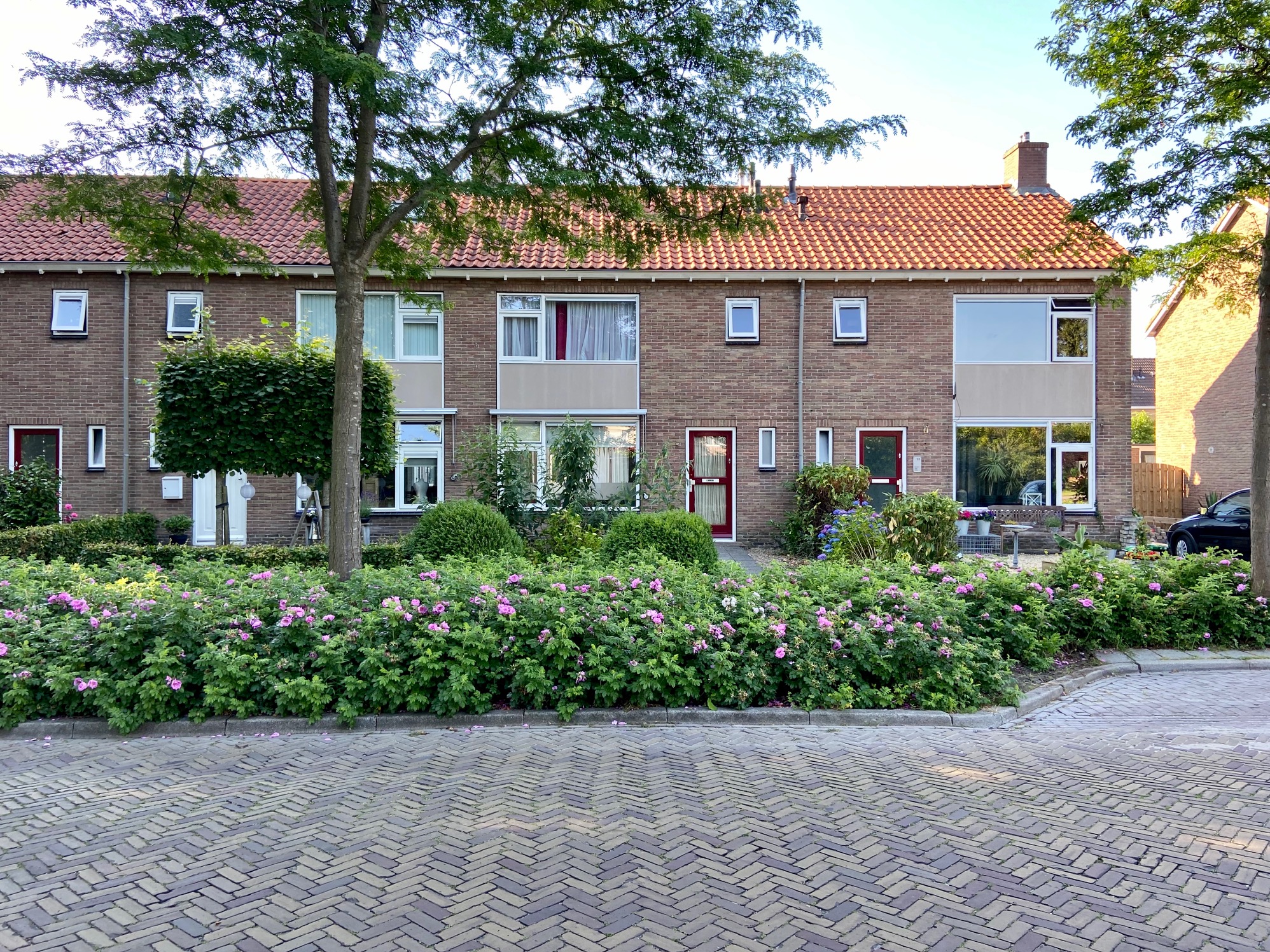 Terraced house for rent: Oranje Nassaulaan 91, Wolvega-Oranjebuurt Wolvega