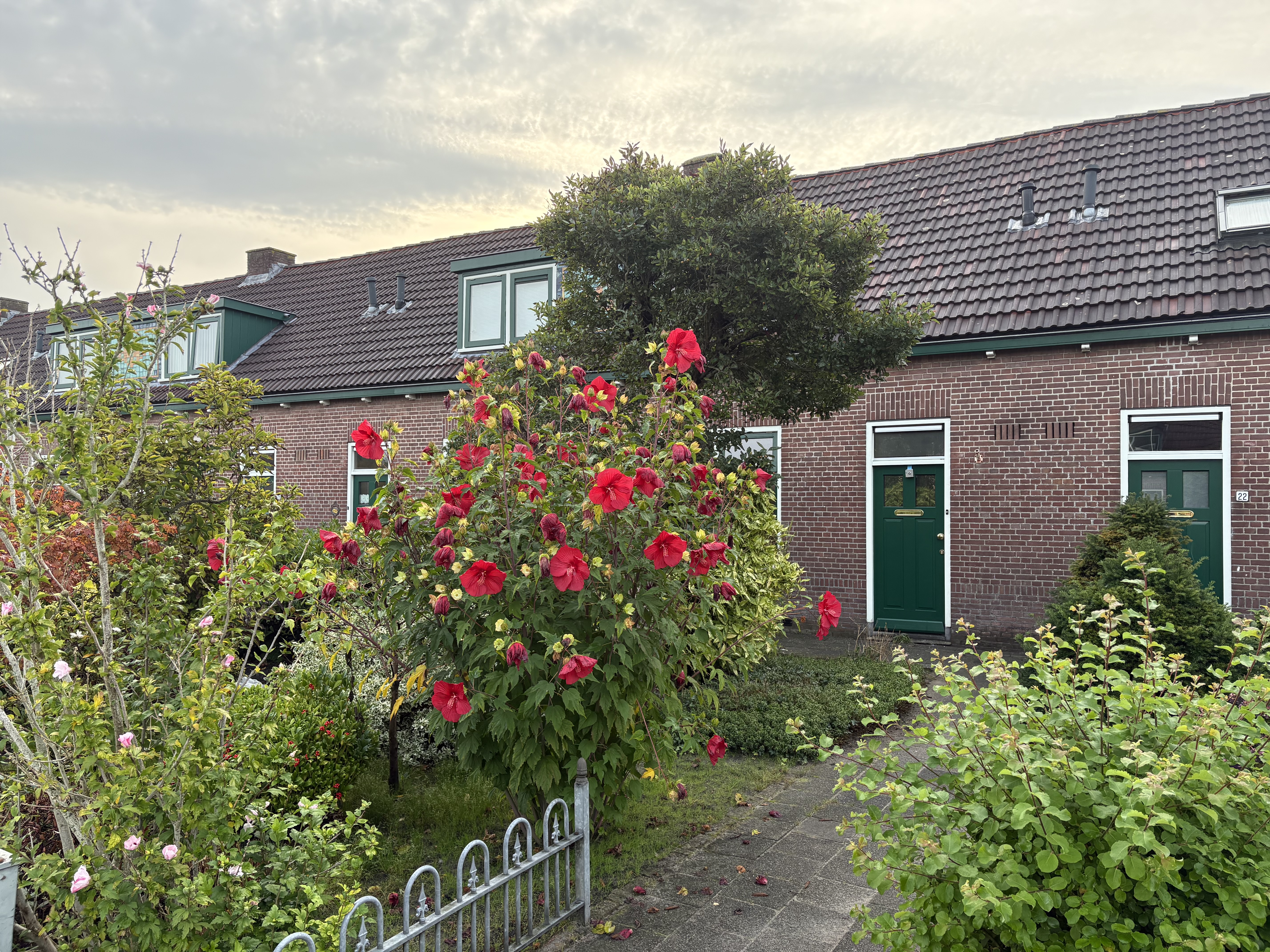 Tussenwoning te huur: Beter Wonen 24, Noord-Oost zuid Drachten